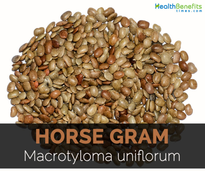 Horse Gram Whole 500 g (Kulith Sabud)