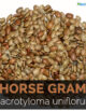 Horse Gram Whole 500 g (Kulith Sabud)