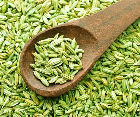 Fennel Seed Reg Saunf 500 g