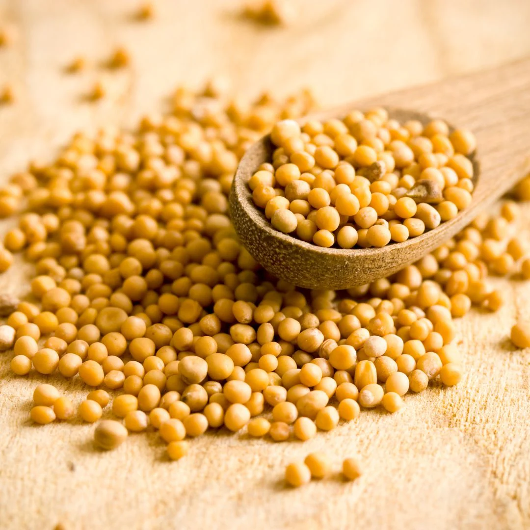Mustard Seed Yellow 100 g