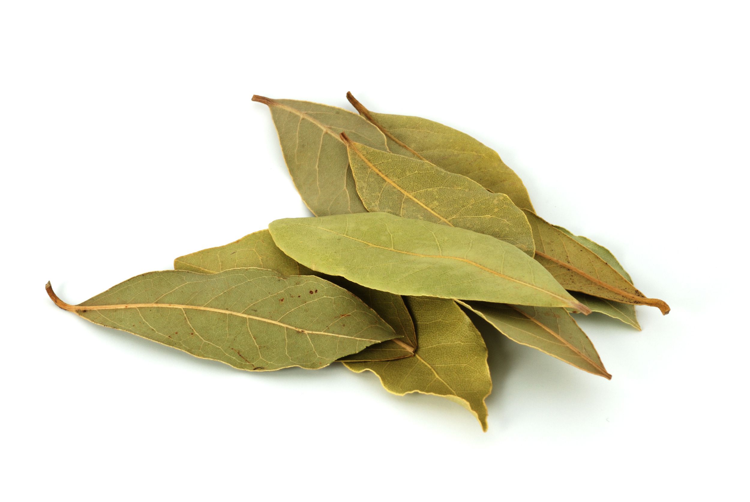 Bay Leaf 50 g (Tej Patta)