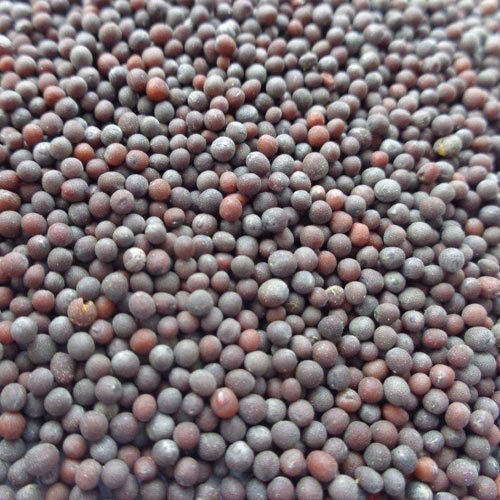 Mustard Seed Big 250 g