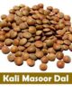 Masoor Whole 500 g (Masoor Sabut)