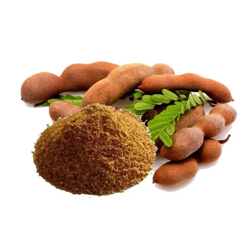 Tamarind Powder 100 g