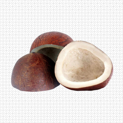 Coconut Dried Half Cut 100 g