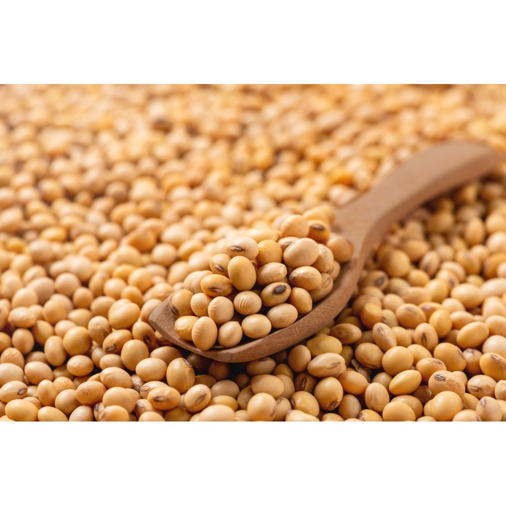 Soya Beans Whole 500 g (Soya Sabut)